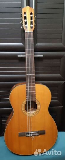 Гитара Musima Classic