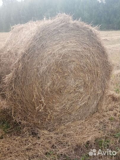 Солома в рулонах