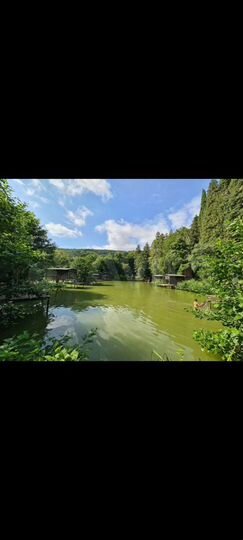 Участок 5 сот. (ИЖС)