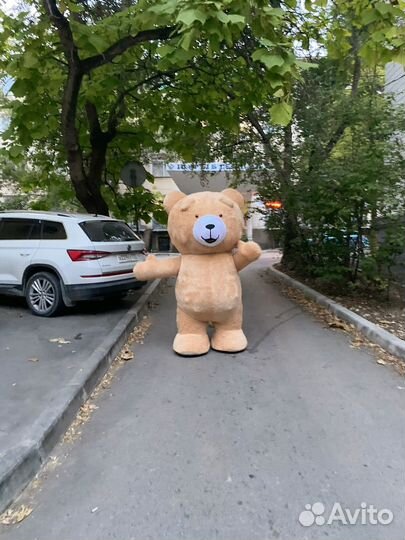 Продажа Ростового Мишки Тедди