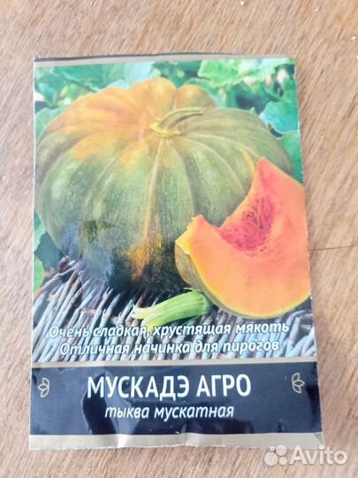 Тыква семена