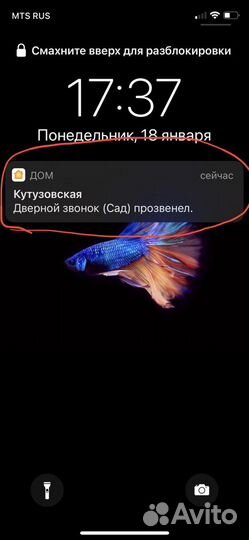 HomeKit реле звонка дверного