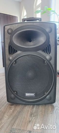 Bluetooth колонка Temeisheng