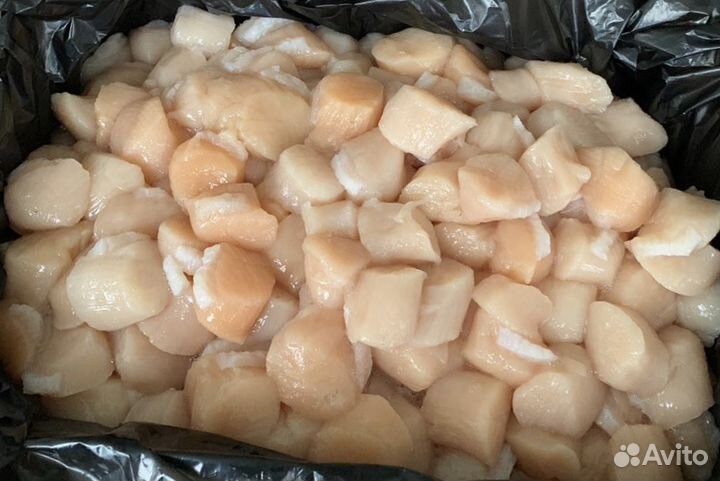 Парной Гребешок