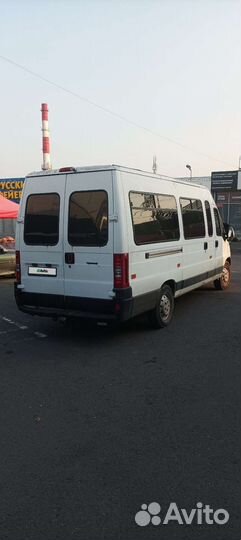 FIAT Ducato 2.3 МТ, 2009, 750 000 км