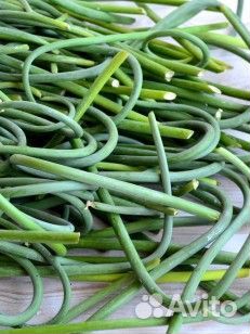 Чесночные стрелки