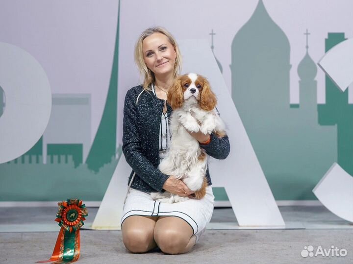 Услуги хендлера