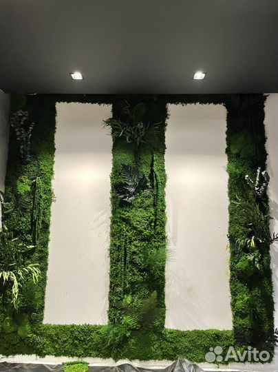 Папоротник, мох