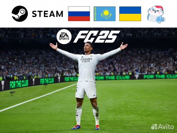 FIFA 25 / EA Sports FC 25 (Steam & EA)