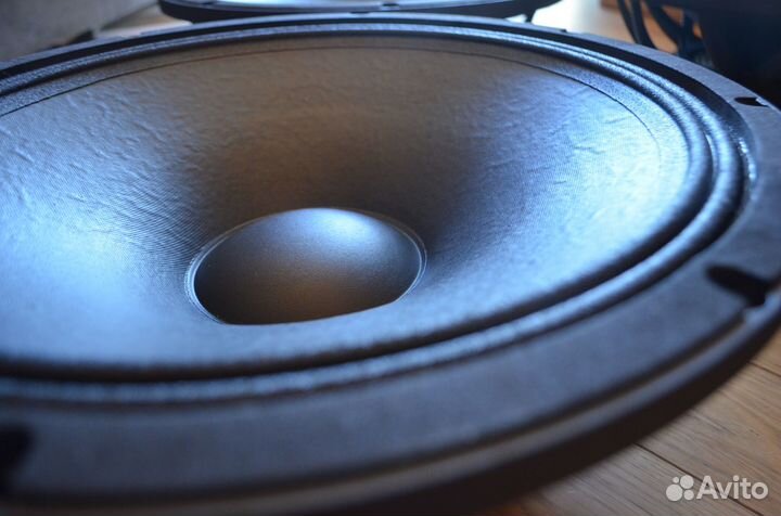 Динамики 15 дюймов