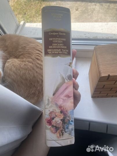 Стефан Цвейг книга