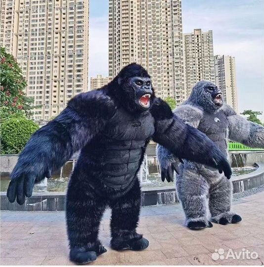 Поздравление от Белого мишки или его друзей