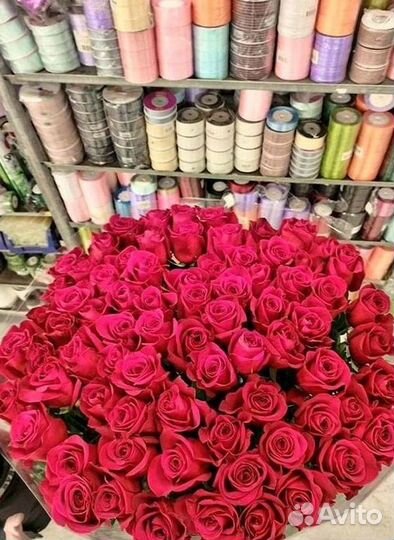 Высокие розы Гигантские розы 110