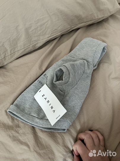 Худи для собак