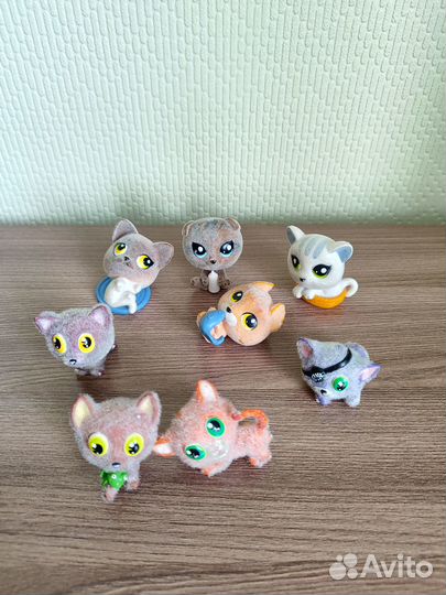 Sweet box котята и щенята