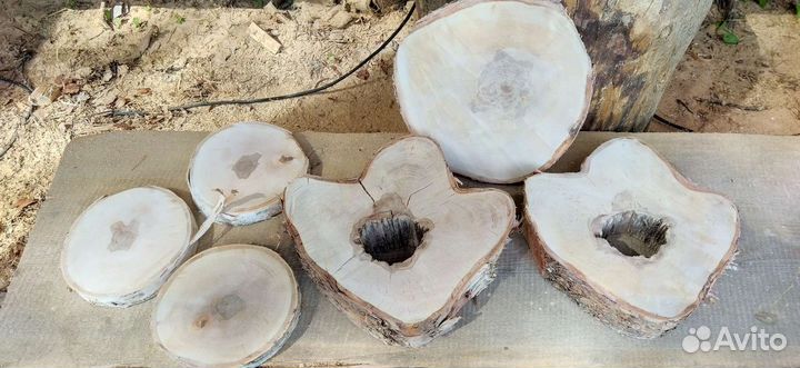 Спилы дерева разные