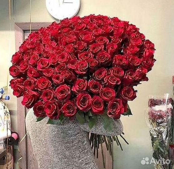 Высокие розы Гигантские Розы 150 160 170 180 190см
