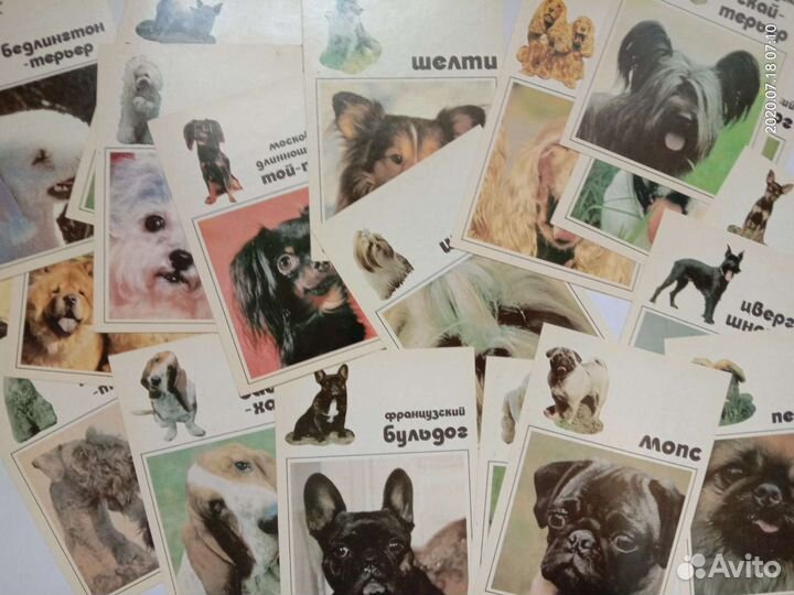 Набор открыток СССР