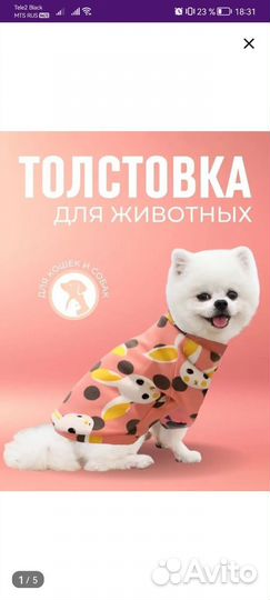 Корм для собак