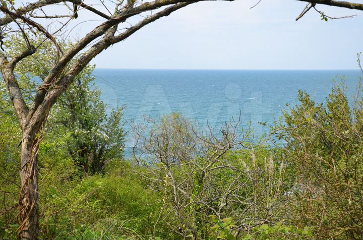 Участок 9,6 сот. (СНТ, ДНП)