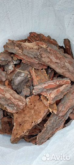 Кора сосновая