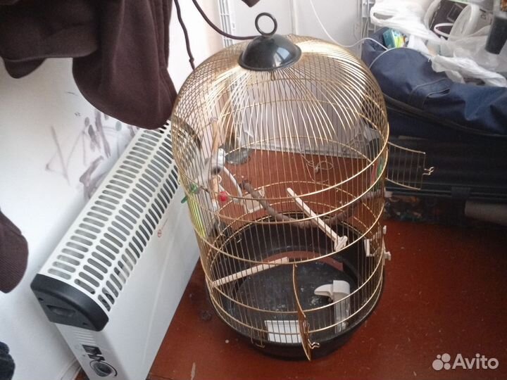 Клетка для попугая