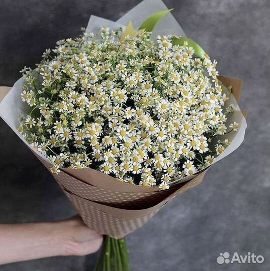 Ромашки букет