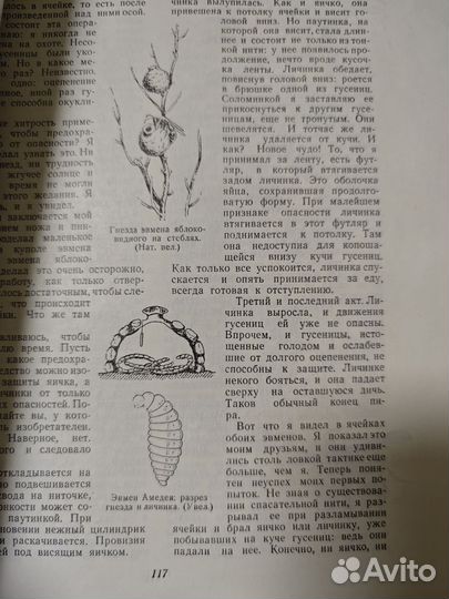 Жан Анри Фабр Жизнь насекомых