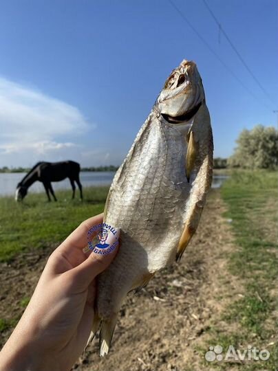 Вобля вяленая