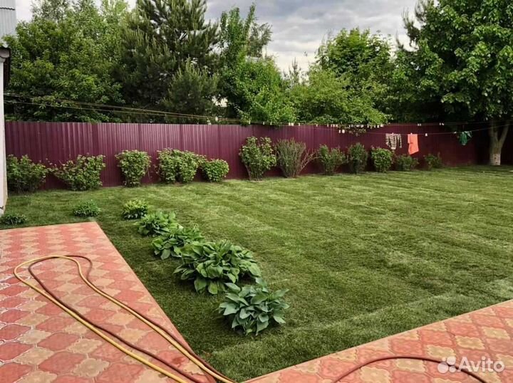 Рулонный газон от производителя