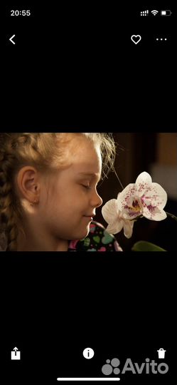 Фотокамера canon eos 1ds mark II digital kit