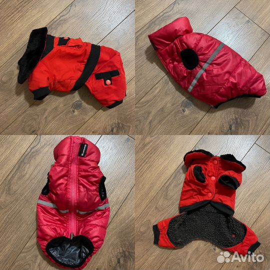 Одежда для маленьких собак