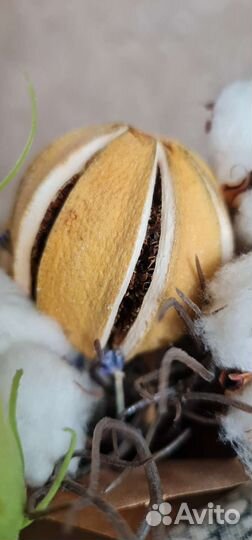 Букет из сухоцветов с хлопком