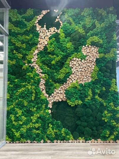 Стабилизированный мох