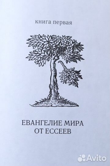 Евангелие мира от ессеев книга 2005 года