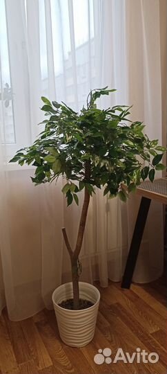 Дерево искусственное Фикус 125 см, натур ствол