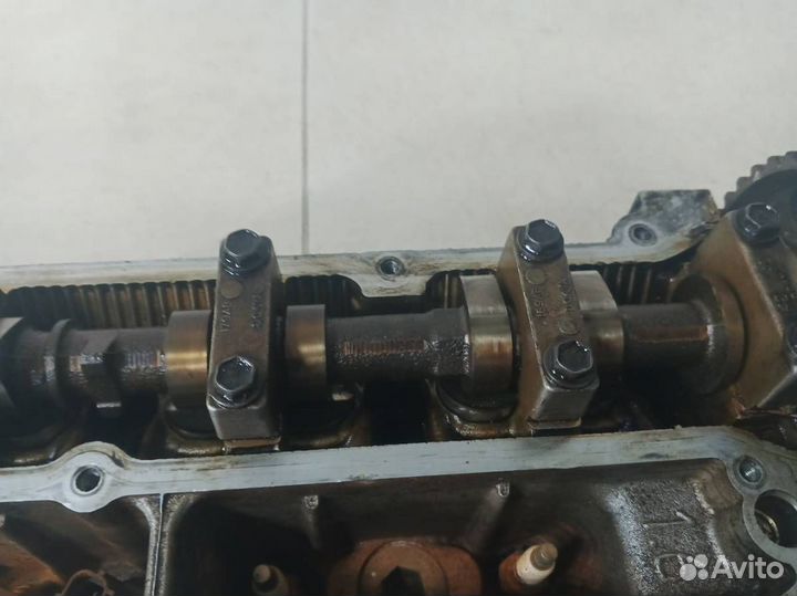 Головка блока цилиндров Ford Puma