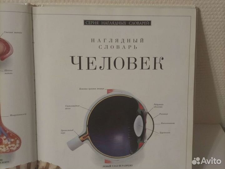 Словарь наглядный Человек Дорлинг Киндерсли