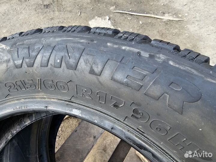 Tigar Winter 215/60 R17 96H