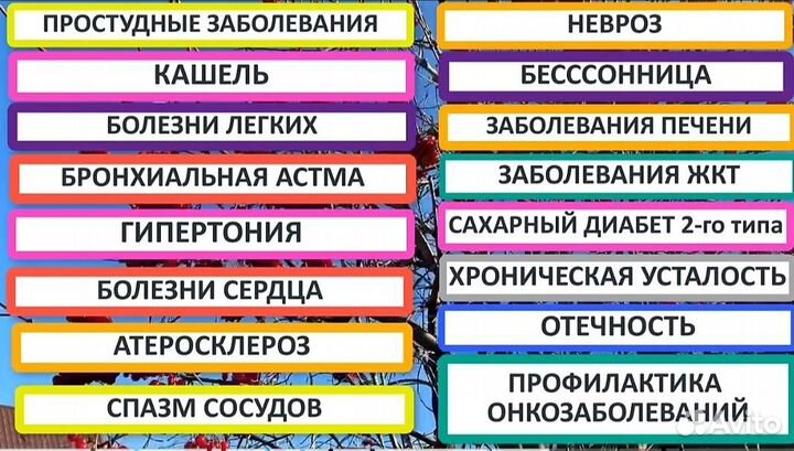 Сок калины замороженный