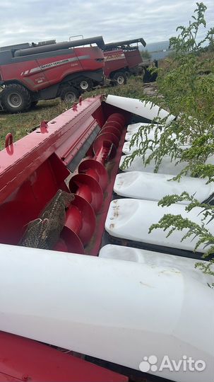 Жатка Агро-Партнер CornMaster 8, 2021