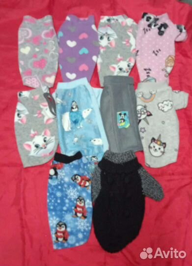 Одежда для животных