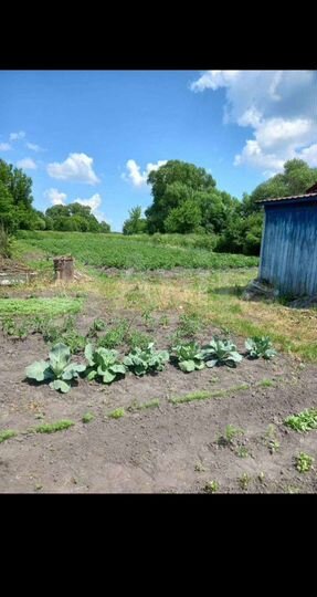 Дом 53 м² на участке 40 сот.