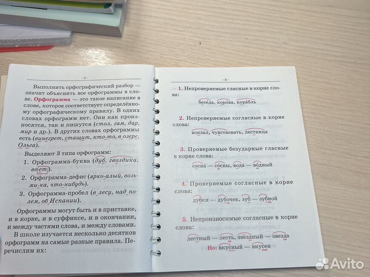 Пособие по русскому языку