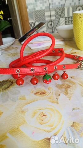 Ошейник для маленькой собаки