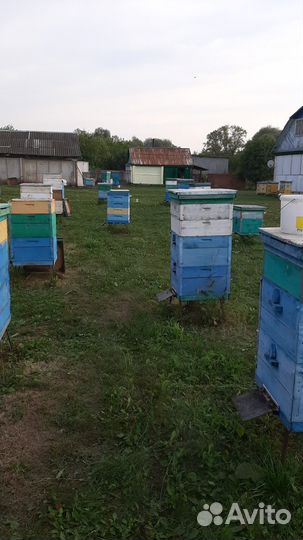 Улей для пчел бу