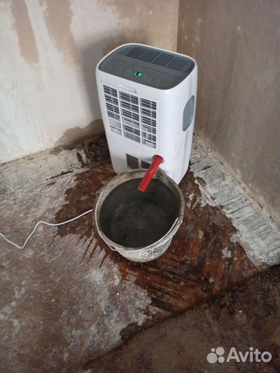 Осушитель воздуха профессиональный в аренду