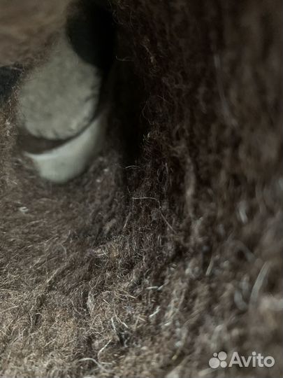 Зимние ботинки nordman 26