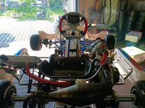 Kz2 energy tm r2