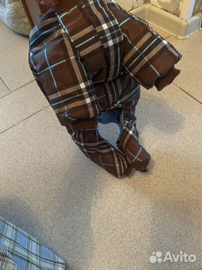 Куртка для собак